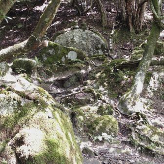 太鼓岩
太鼓半分に積まれています☺️