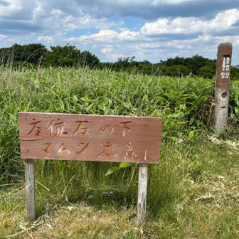 竜王山頂は広い原っぱ。オモロい看板が😅て書いてある方位石に座って一休み。勿論、石の上で思い切り飛び跳ねて、出てこんの確認してから😁