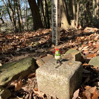 丹坂三角点あった‼︎😄