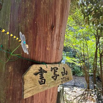 漠然と「この道合ってます？」と聞かれる事も増えた😥…どこ行きたいのか教えてくらさい