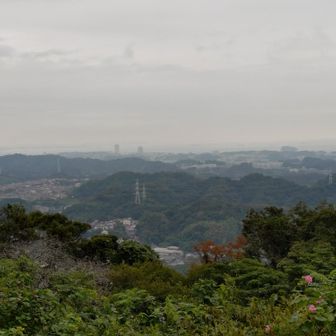 横浜側の遠景