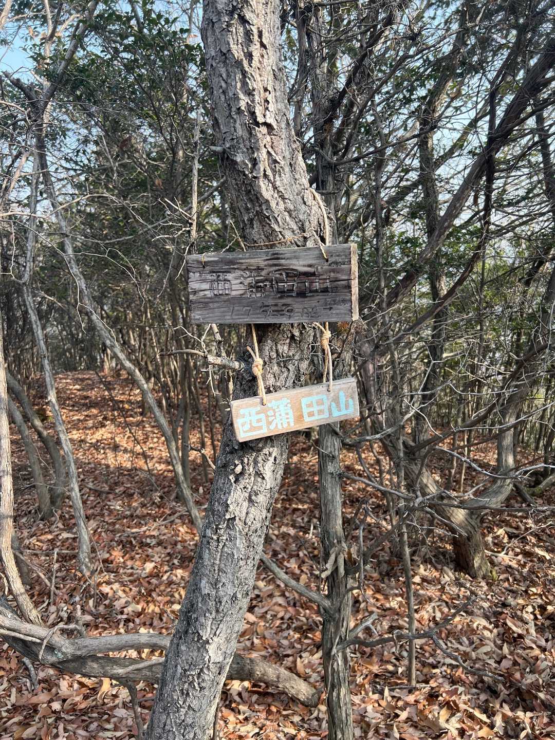 西蒲田山⛰到着〜✨
（眺望ありませーん🙅‍♀️）