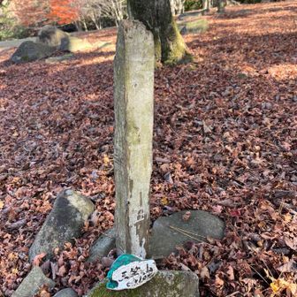 ひとまずピーク三笠山