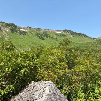 何度も見ても飽きない景色