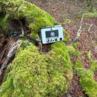 登ってみた。何故かカメラが山名板。