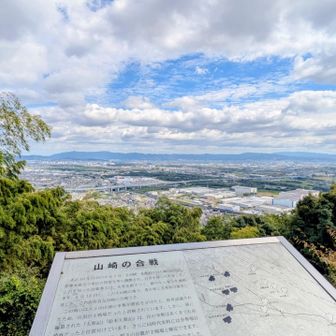 旗立松近くの展望台。主戦場を一望☀