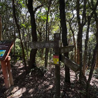 さあ、唐人の舞に行きます