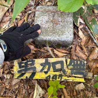 山頂へ　木の板がバラバラになってたので繋ぎ合わせる