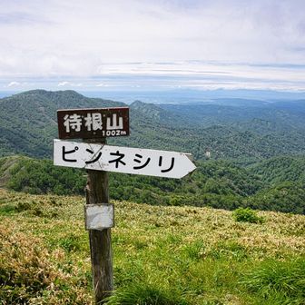 △待根山　登頂🎉
標高　1002ｍ