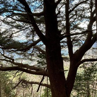 パワーを頂きました