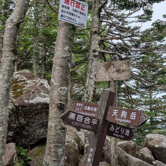 中山峠の分岐