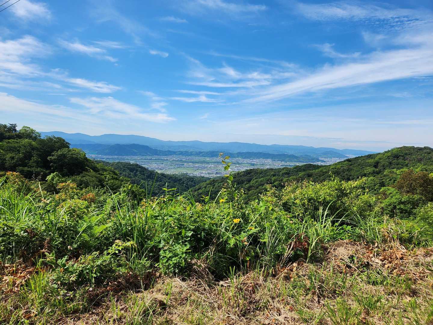 地蔵山-井関峠 周回コースの写真