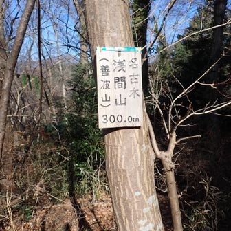 2座目の浅間山
山頂はちょっと奥まったところにあり注意していないと通り過ぎてしまう