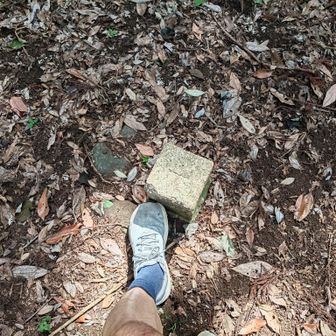 鷹取山山頂②

点名: 鷹取山
標高: 218.65 m
種別: 三等三角点