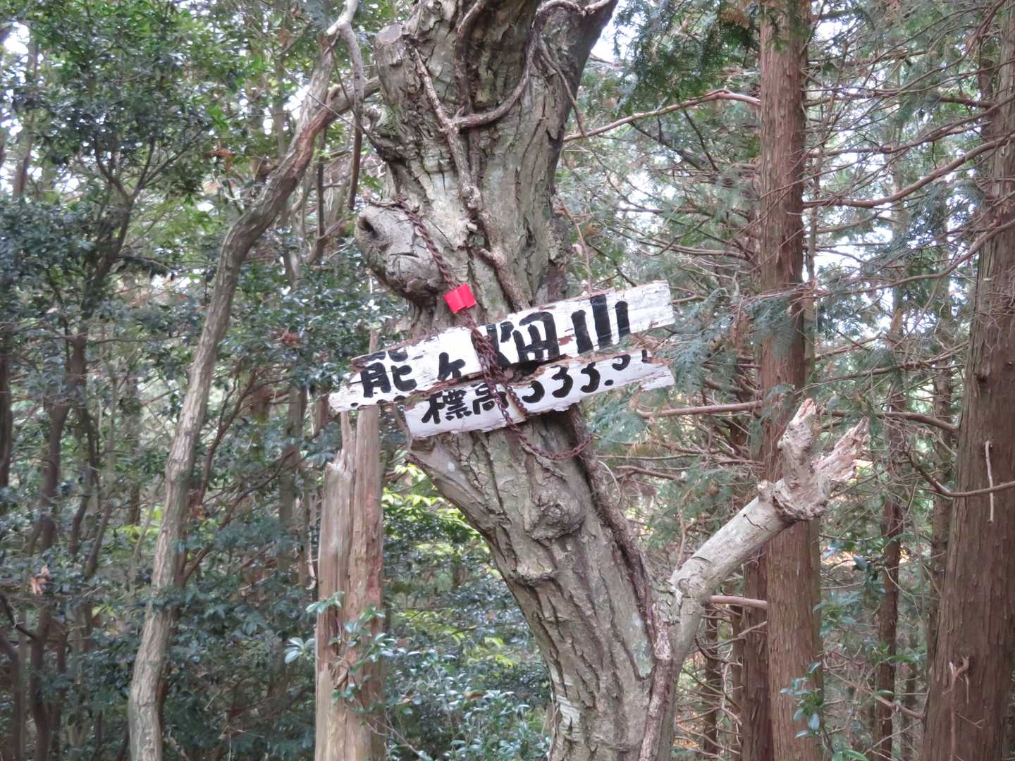 何とか持っています。