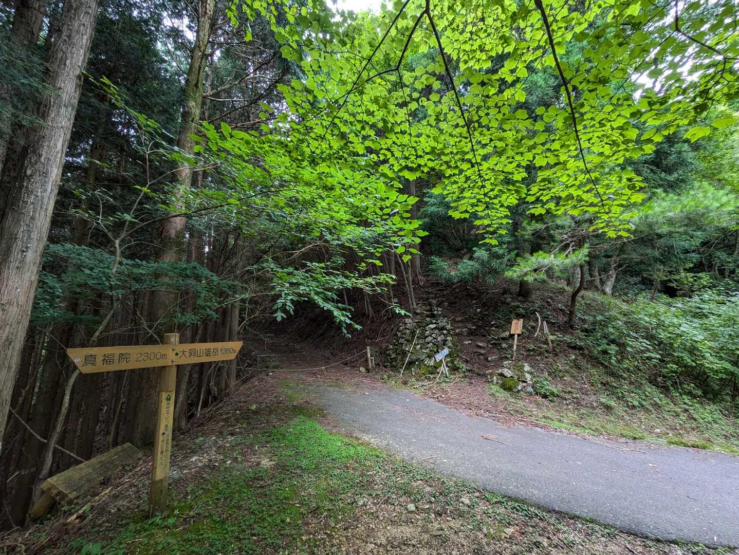 大洞山-大洞山-四ノ峰 周回コースの写真