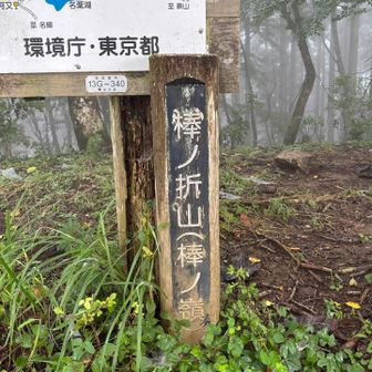 先程の山頂標🪧は埼玉県
こちらは東京都