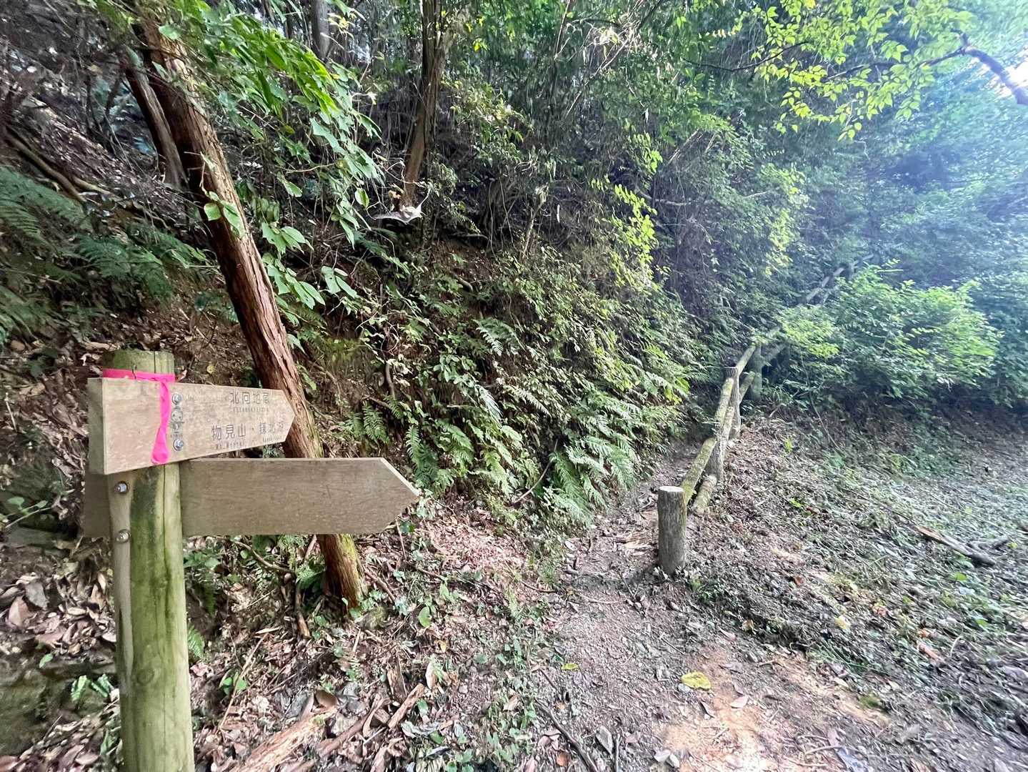 ここから登ります。