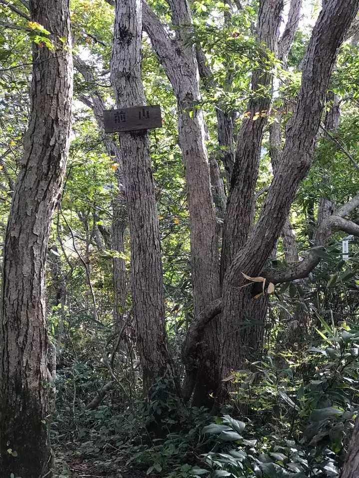 前山の写真