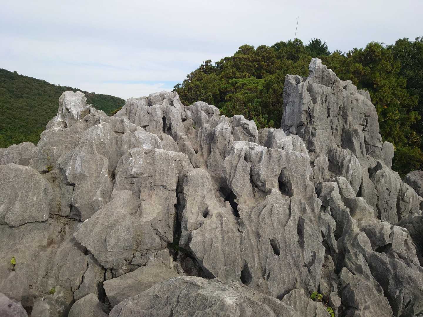 三岳山-立須 周回コースの写真