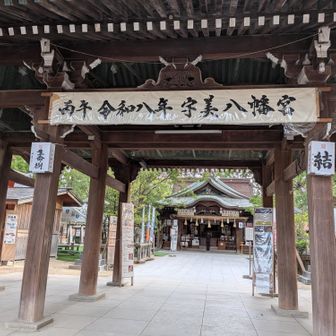 井野山は、諦め⛩️で🙏🙏🙏