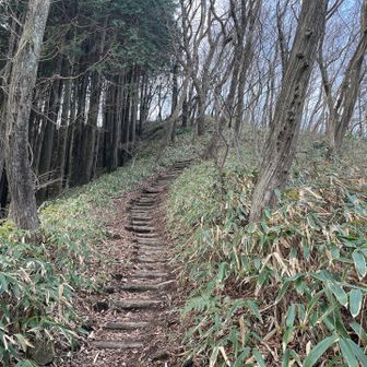 階段も結構あるねー。