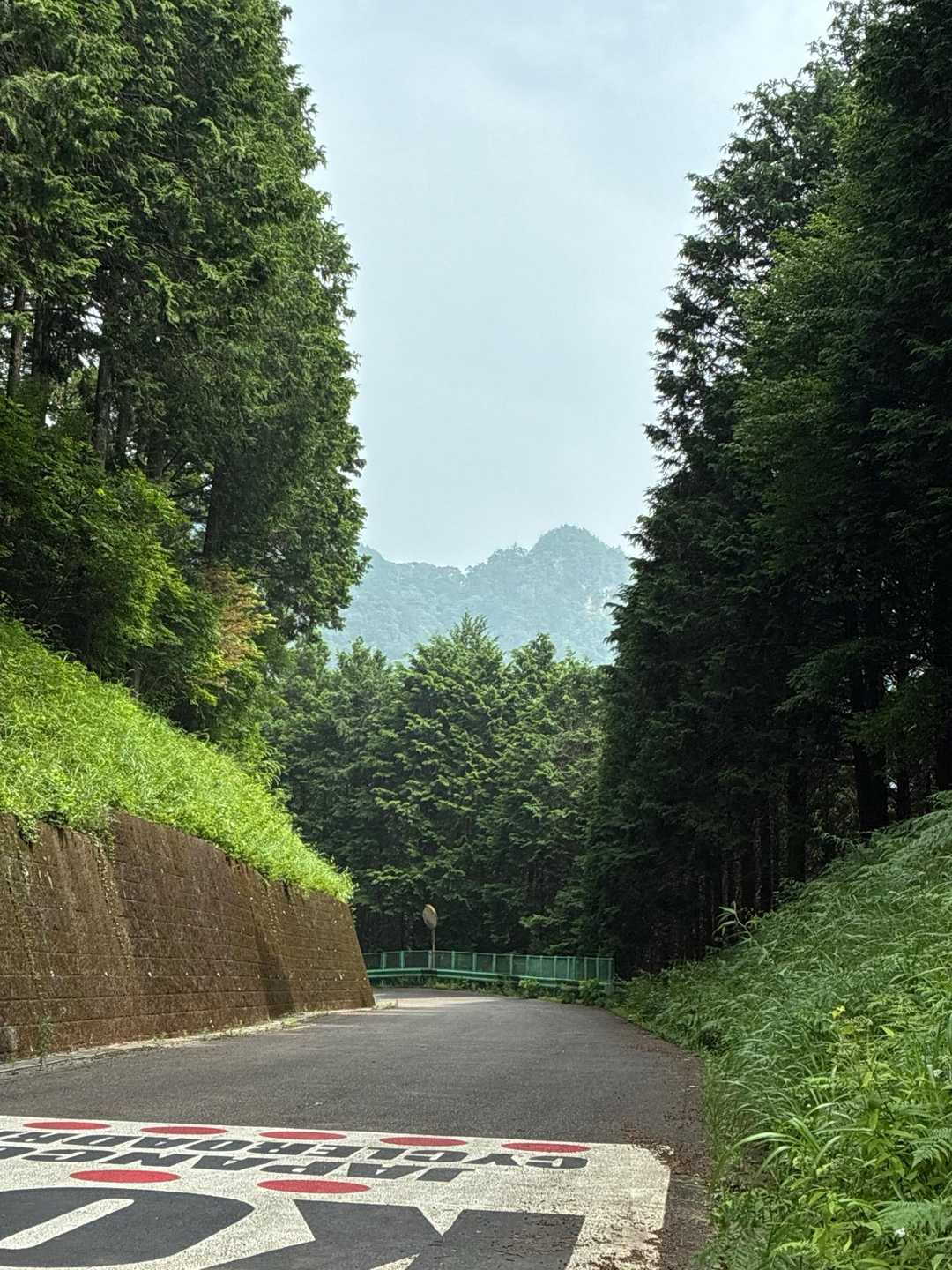 森林公園頂上