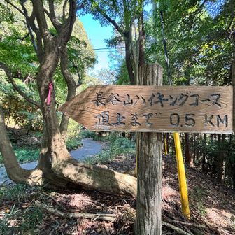 ここからまた舗装路