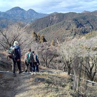 下山します
右は昔歩いた鎌取山