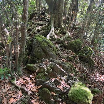 Hike across the rocky ridge section. 