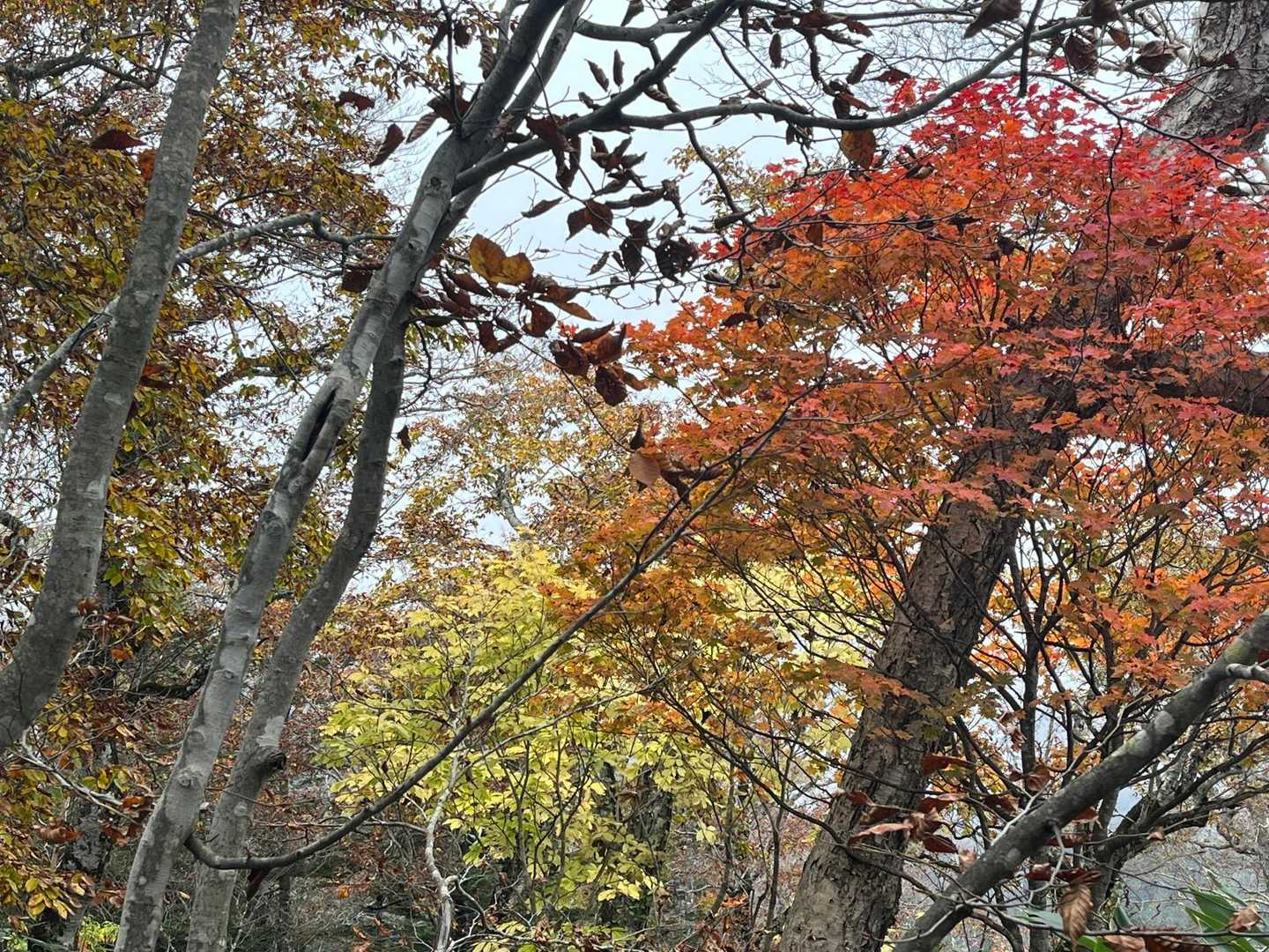 🍂秋を感じながら