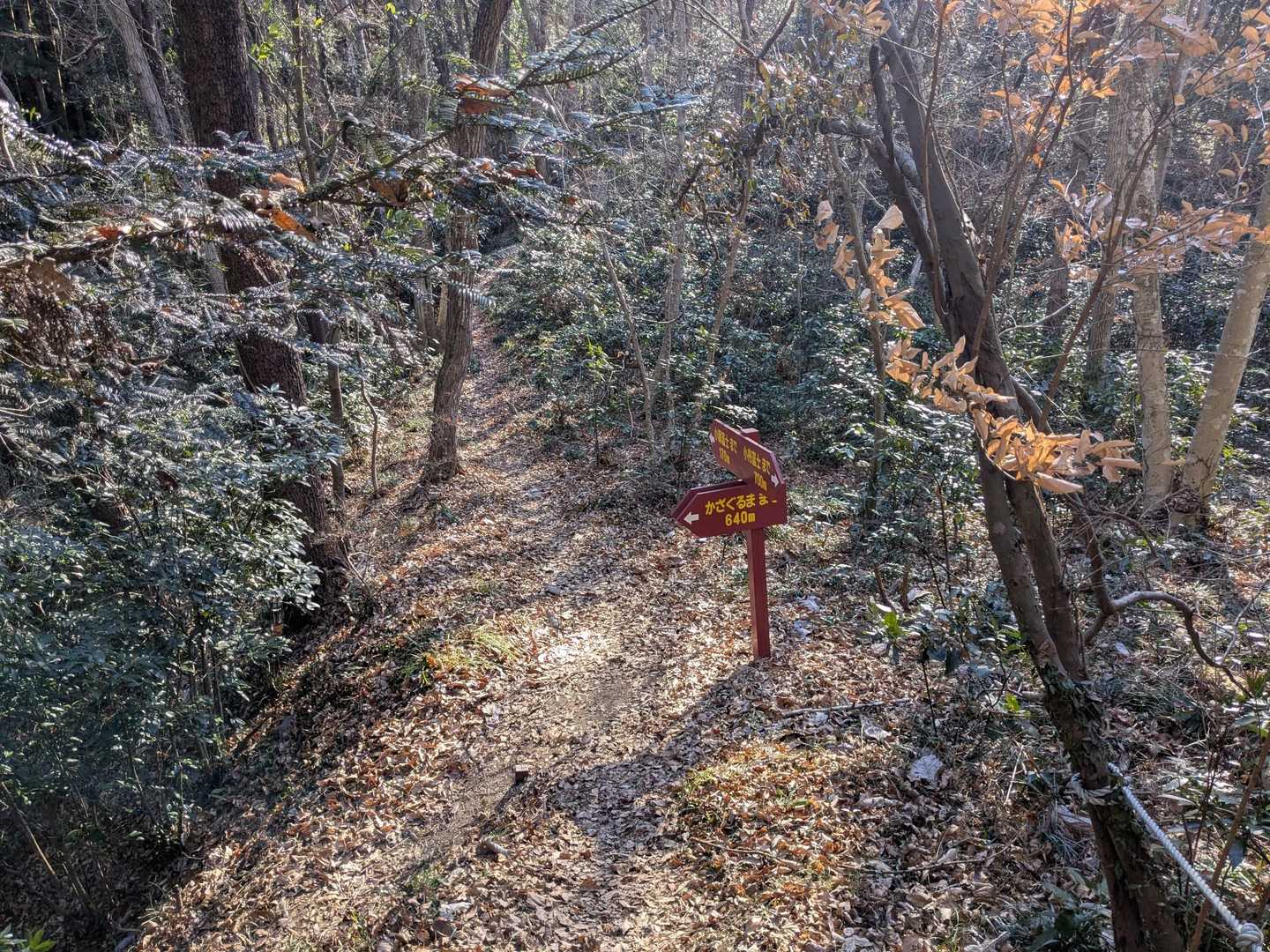 かざぐるまと小瀬富士山に向かう分岐です✨