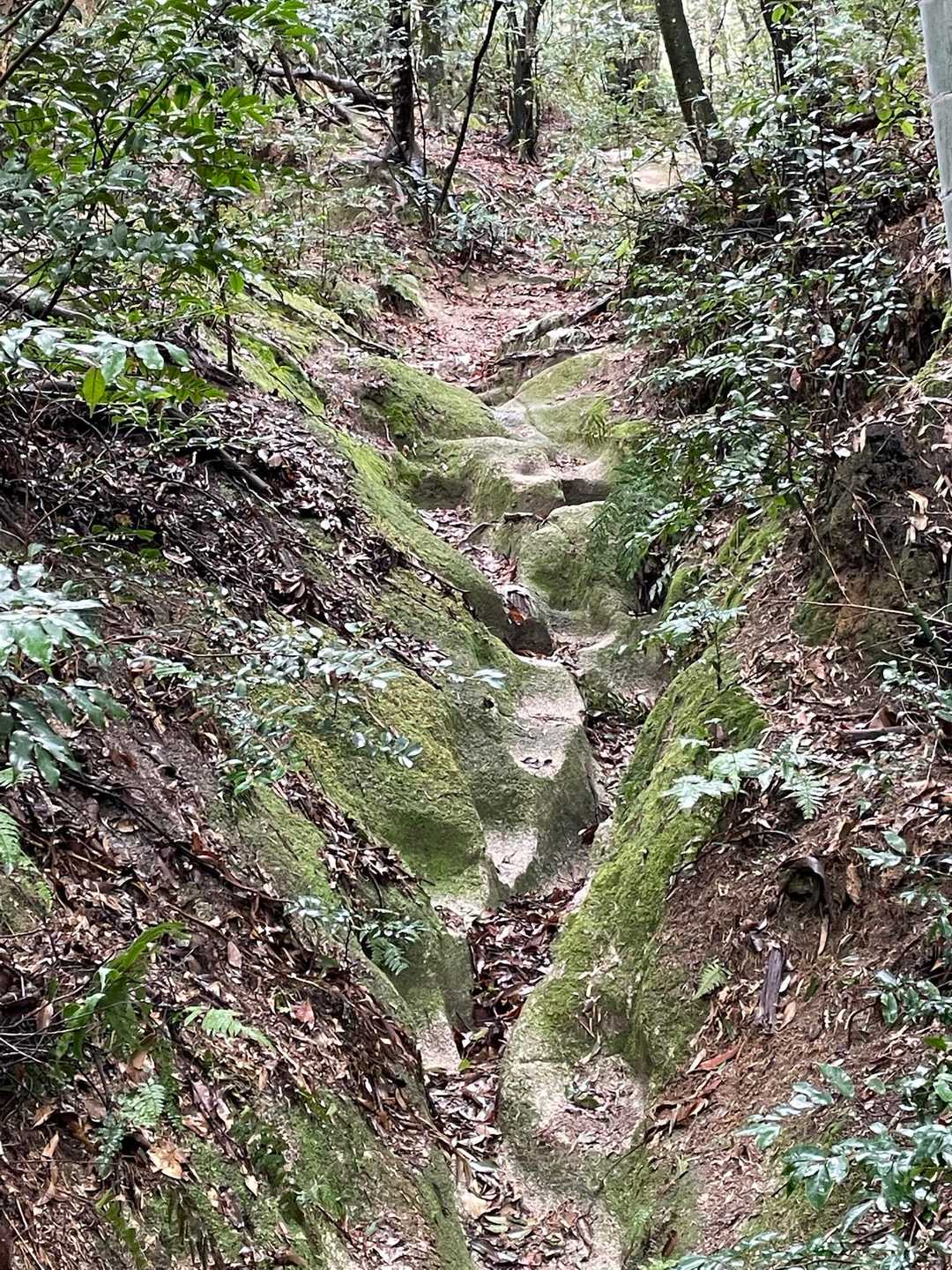 これかぁ…風化した花崗岩の露頭を掘削したものらしいけど、さらに長年雨に打たれたりして角が取れてる感じ🧐