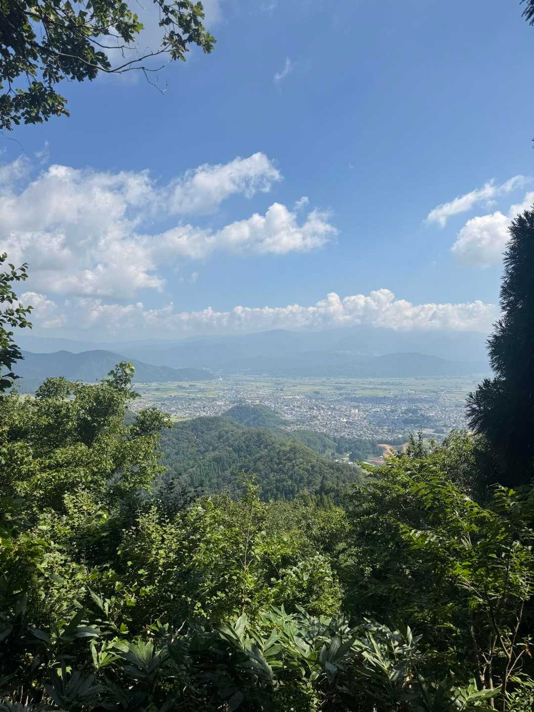 すこし眺望　大野の町が見える


