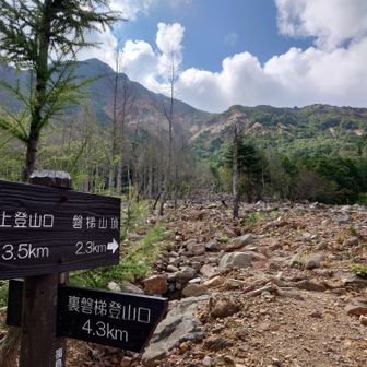 ここルートは銅沼見れないのねー😂