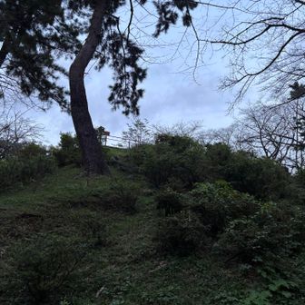 あそこが山頂