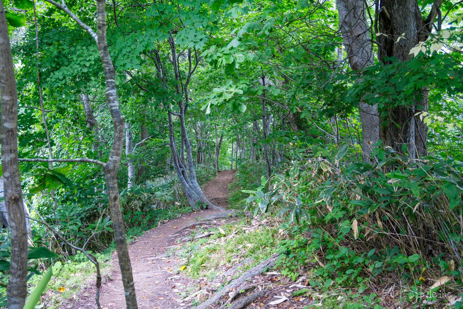 下山、見晴台へ続く道です。