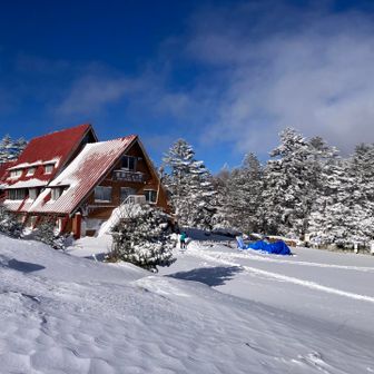赤い三角屋根
ただいまー