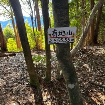 次は有地山555.55m😳