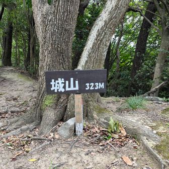 城山山頂
