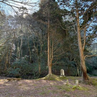 この梅ヶ瀬渓谷を作った、日高氏の住居跡です！