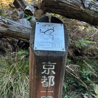 雲母坂に降る分岐