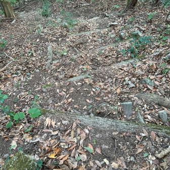 続いて階段を登ると~