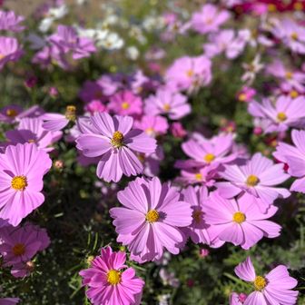 登るソムリエ🍷