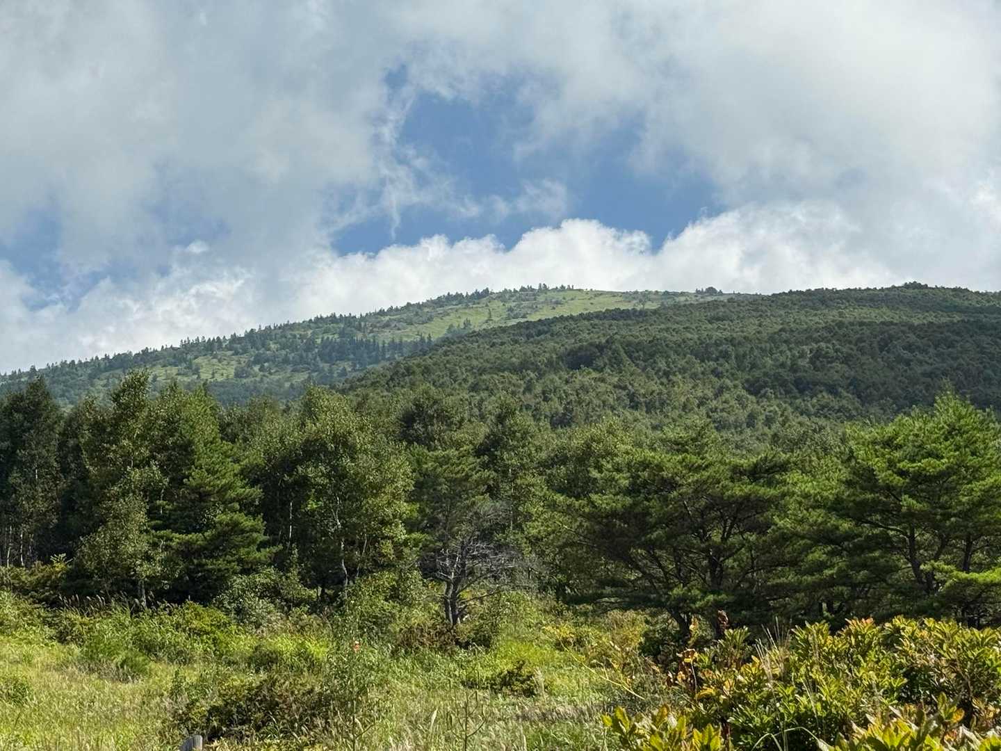 東屋まで下ってきて見上げると
今は晴れてるみたい
