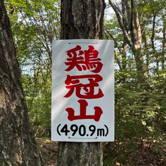 鶏冠山頂上
別の山名プレート