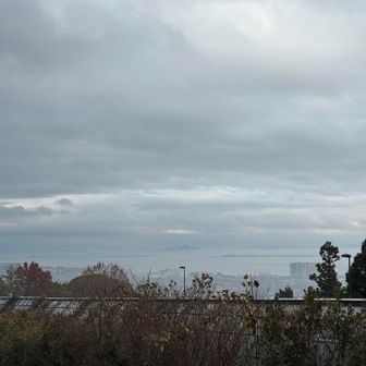 １６１号バイパスにかかる橋の上から、琵琶湖が見えました