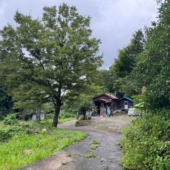 戻ってきた。最後に油断して転んだので反省です😓