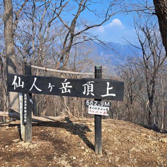 仙人ヶ岳
本日は後仙人へは行きません。
子仙人ヶ岳の先にある分岐まで戻ります。