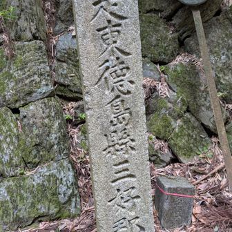 遍路友さんと別れ、意地を張って県境のトンネル通らず、今日最後の峠越し。徳島県に入った